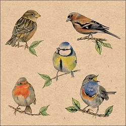 Ambiente 20 Servietten Papier 33x33cm 3-lagig - hochwertige Einweg Papierservietten Singvögel Motiv Partyservietten Vogelmotiv Frühling Sommer Ostern Tischdeko