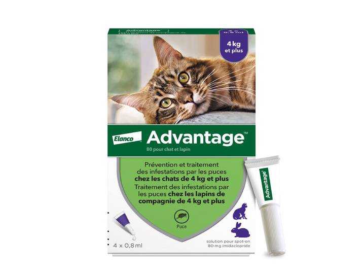 Advantage® Cat – Traitement anti-puces pour chats et lapins – 4 kg et plus – 4 pipettes