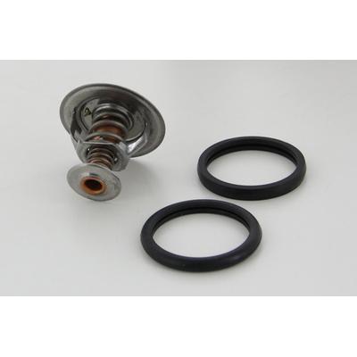 TRISCAN Thermostat, Kühlmittel 8620 8482 für HYUNDAI MITSUBISHI PROTON KIA NISSAN RENAULT TRUCKS