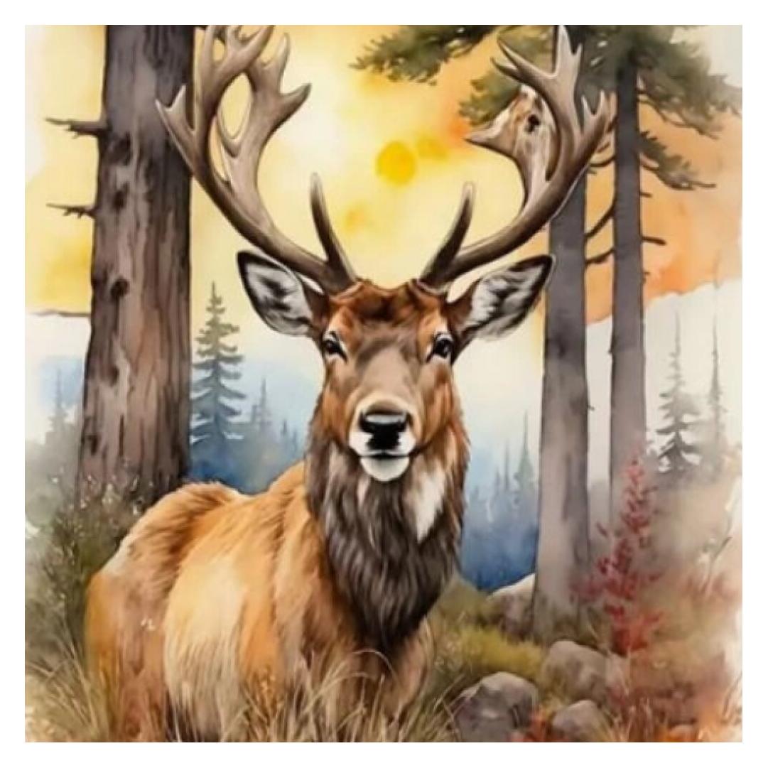 Norimpex Diamantové malování Jelen 30x40cm (2001706)