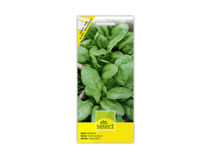 Select Spinat Butterblatt Saatband