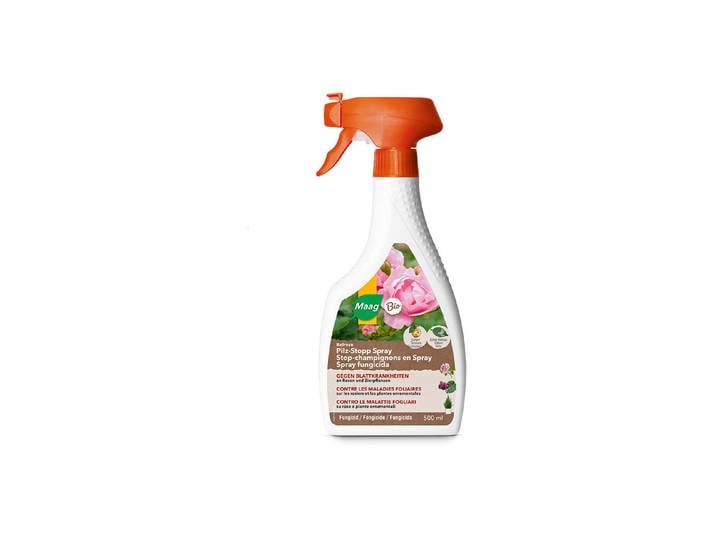 Maag Belrose Pilz-Stopp Spray 500 ml