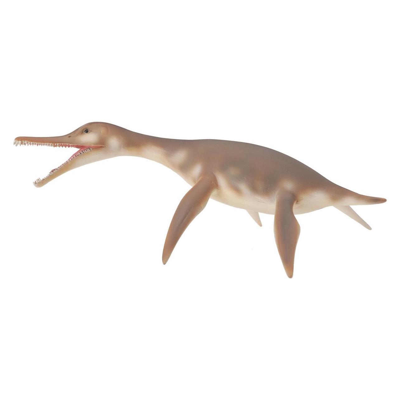 Collecta Dolichorhynchops (M) (88520)