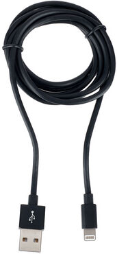 Ansmann Lightning/Charging Cable 120 Schwarz