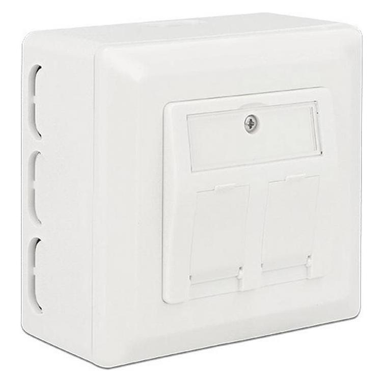 Delock Back Box - Installationskasten Netzwerkoberfläche (Netzwerk Zubehör) (86128)