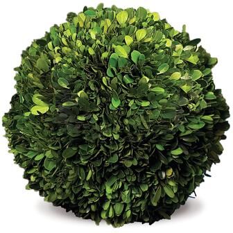 Porch & Petal "Boxwood Ball 12"" - Green"