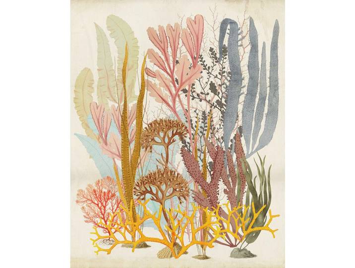 VLIESTAPETE CATCHY CORALS