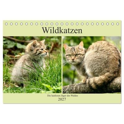 Wildkatzen - Die lautlosen Jäger des Waldes (Tischkalender 2027 DIN A5 quer), CALVENDO Monatskalender