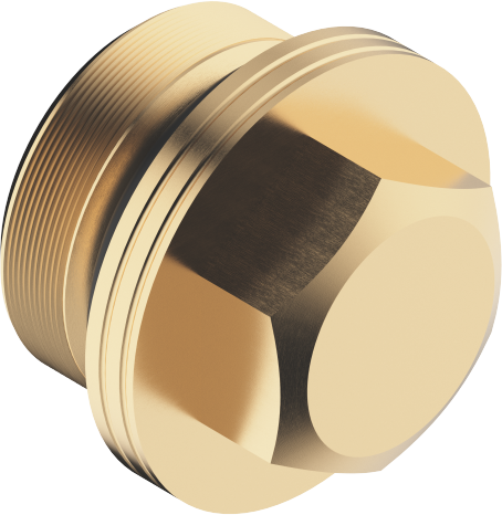 Dornbracht Bouchon pour extrémité de tuyau 9031200900090 brut