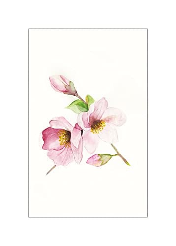 Komar Magnolia Breathe Kunstdruk Poster, Multicolour, 50 x 70 cm