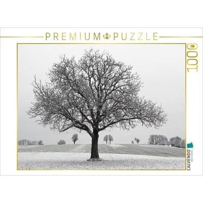 CALVENDO Puzzle Dezember | 1000 Teile Lege-Größe 64x48cm Foto-Puzzle für glückliche Stunden