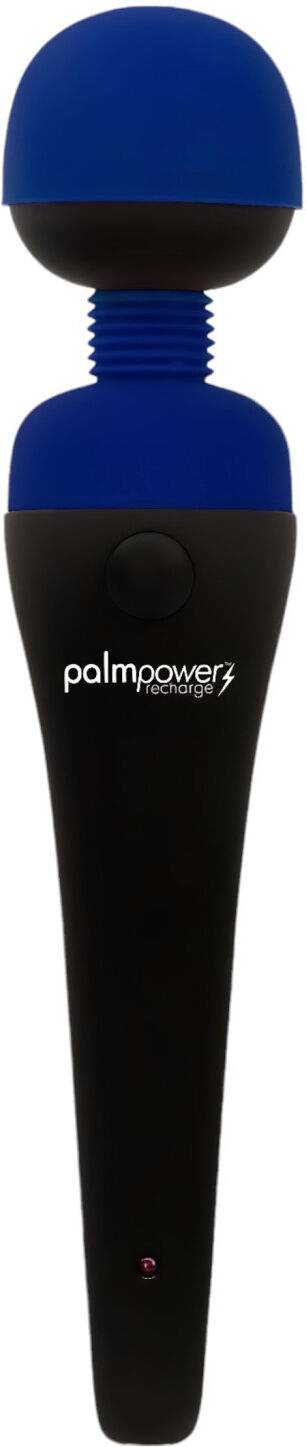 PalmPower Recharge - Cordless Massage Vibrator (Blue)