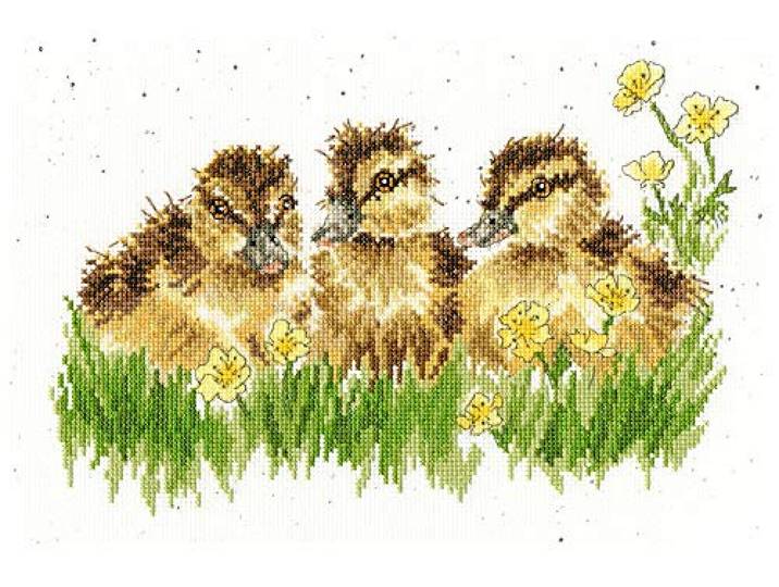 Bothy Threads Cross Stitch Kit - Buttercup