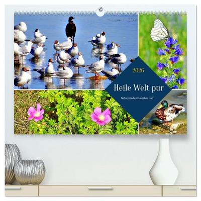 Heile Welt pur - Naturparadies Kurisches Haff (hochwertiger Premium Wandkalender 2026 DIN A2 quer), Kunstdruck in Hochglanz