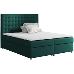 BOXBETT Asti - H3