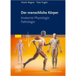 DermenschlicheKörper, Fachbücher von Peter Kugler, Nicole Wagner