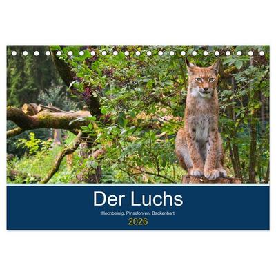 Der Luchs - Hochbeinig, Pinselohren, Backenbart (Tischkalender 2026 DIN A5 quer), CALVENDO Monatskalender