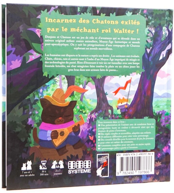 Book in Game Donjons & chatons