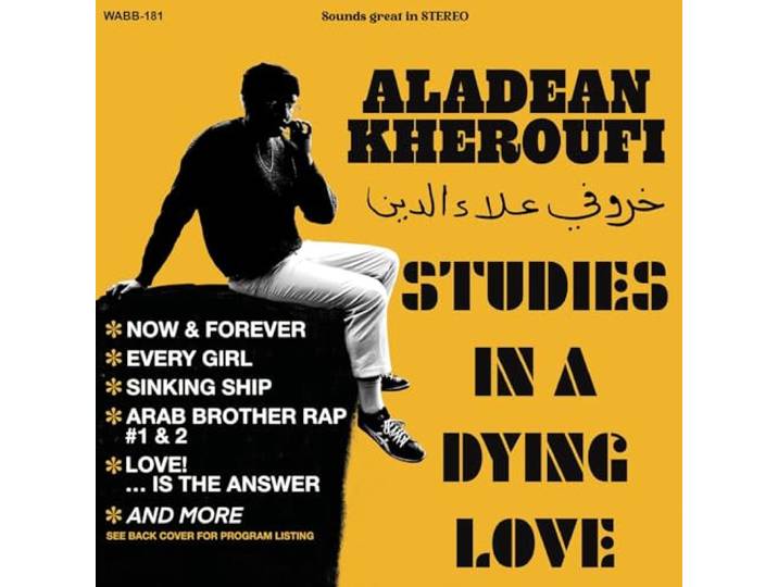 Studies In A Dying Love