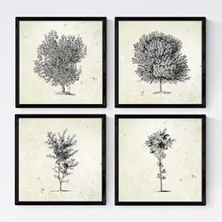 POSTER Set mit 4 Blättern der Baumstämme Jahrgang Hintergrund 20x20cm Schwarzer Rahmen