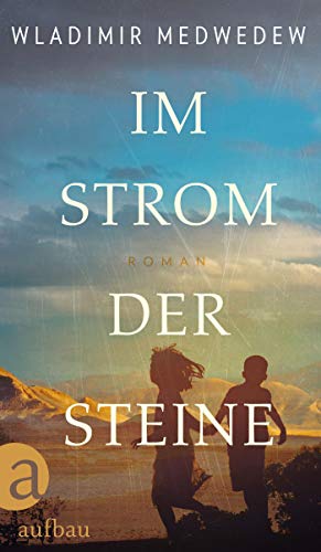 Wladimir Medwedew - Im Strom der Steine: Roman - Preis vom 09.10.2026 07:28:09 h