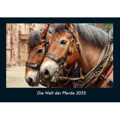 Die Welt der Pferde 2025 Fotokalender DIN A4