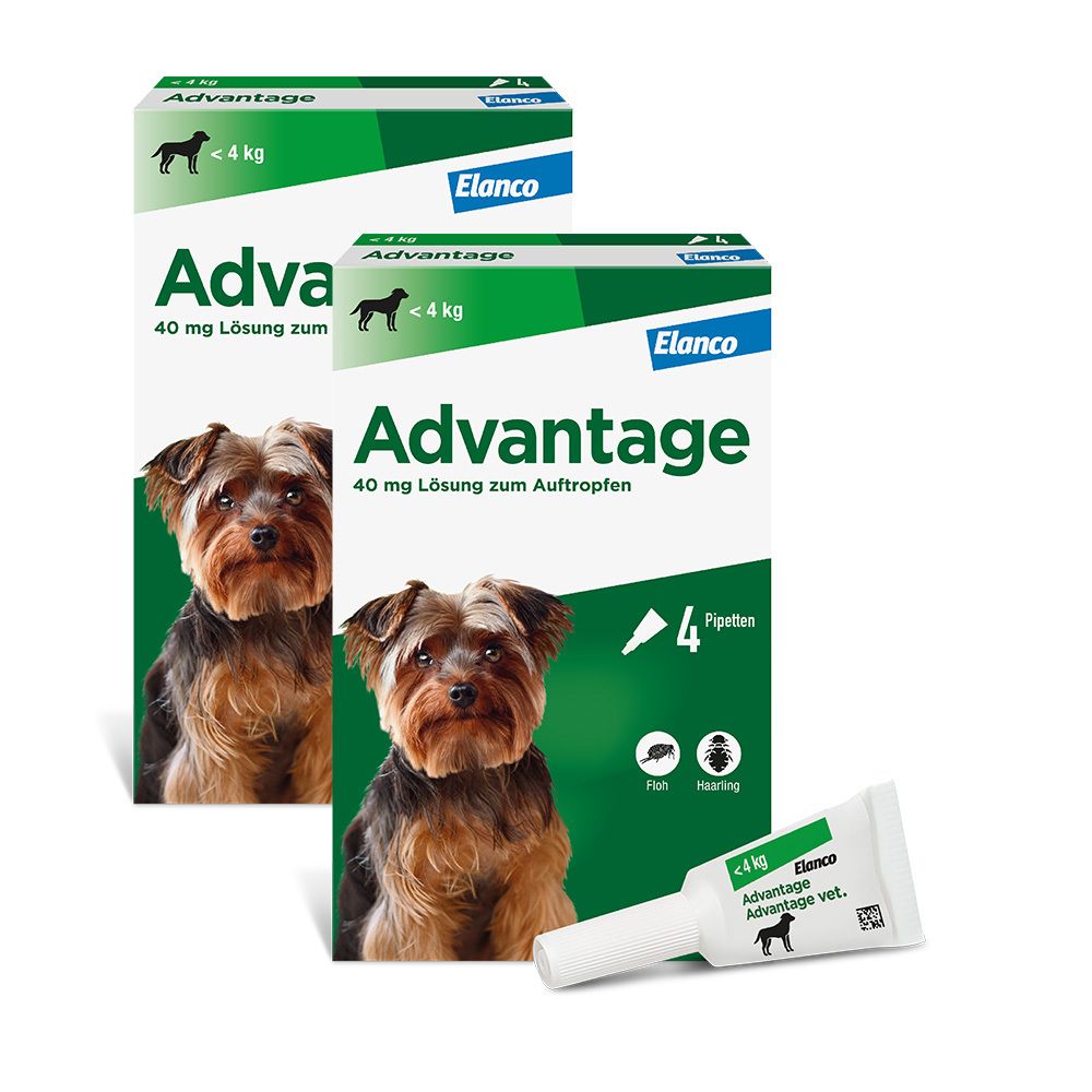 Advantage 40 Lösung f.Hunde bis 4 kg 2x 2x4 St