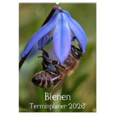 Bienen-Terminplaner 2026 (Wandkalender 2026 DIN A2 hoch), CALVENDO Monatskalender