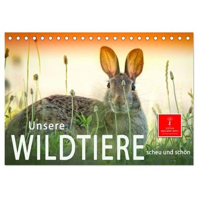Unsere Wildtiere - scheu und schön (Tischkalender 2026 DIN A5 quer), CALVENDO Monatskalender