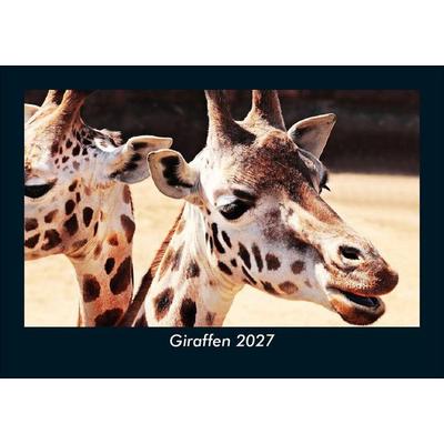 Giraffen 2027 Fotokalender DIN A5