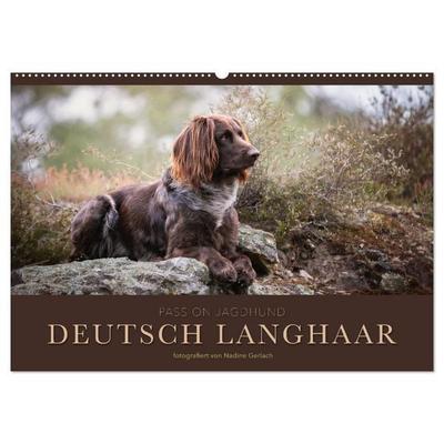 Passion Jagdhund - Deutsch Langhaar (Wandkalender 2026 DIN A2 quer), CALVENDO Monatskalender