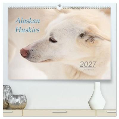 Alaskan Huskies (hochwertiger Premium Wandkalender 2027 DIN A2 quer), Kunstdruck in Hochglanz