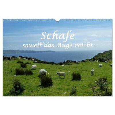 Schafe - soweit das Auge reicht (Wandkalender 2026 DIN A3 quer), CALVENDO Monatskalender