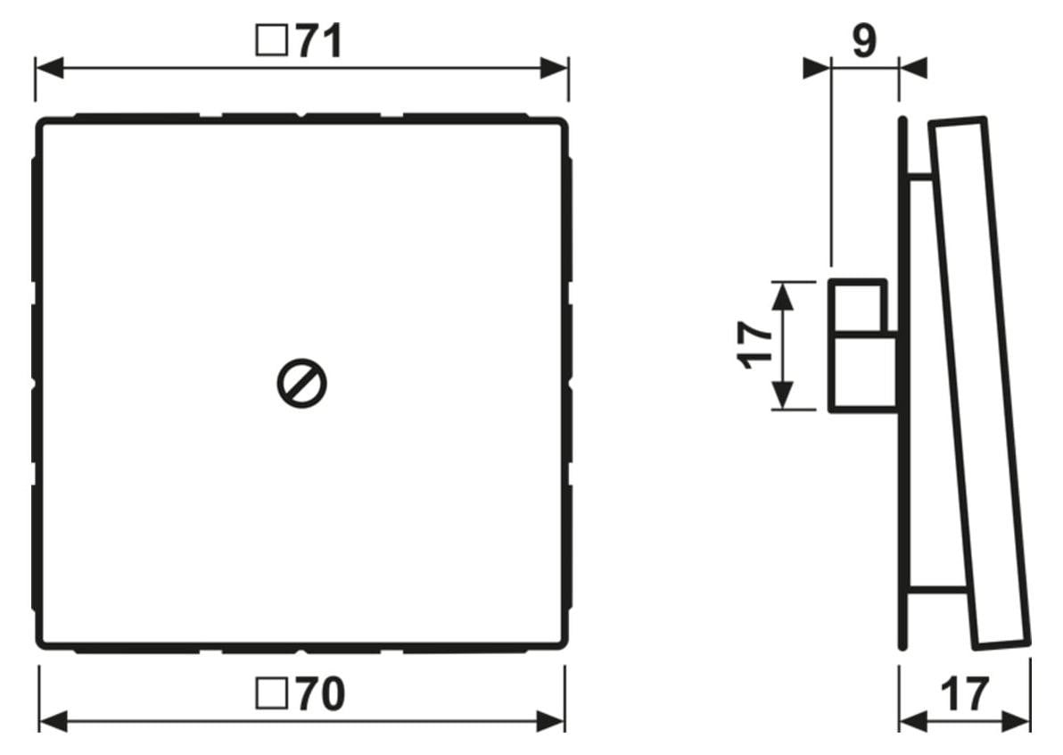 Jung AL 2990 A AN Aluminium Afdekplaat Anthraciet