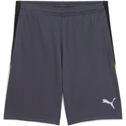 Puma, Herren, Sporthose, IndividualLIGA Training Shorts 2 (open pockets) (XL), Grau, Mehrfarbig