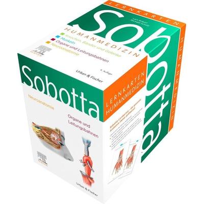 Sobotta Lernkarten Anatomie für die Humanmedizin, Gebundene Ausgabe von Lars Bräuer,Michael Scholz, Urban & Fischer in Elsevier, 978-3-437-41157-1