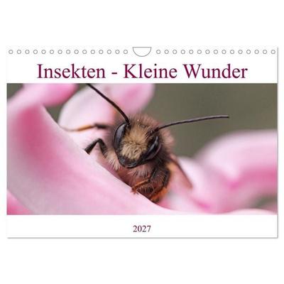Insekten - Kleine Wunder (Wandkalender 2027 DIN A4 quer), CALVENDO Monatskalender