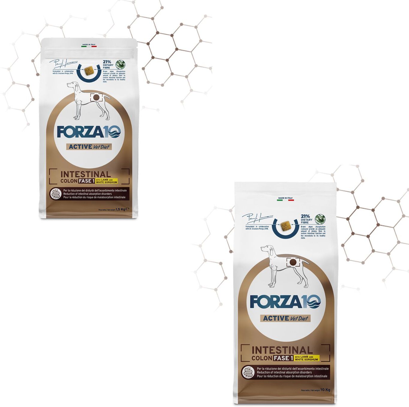 Forza10 Forza 10 Intestinal Colon Fase 1 Agnello e Sorgo Bianco per Cani Adulti