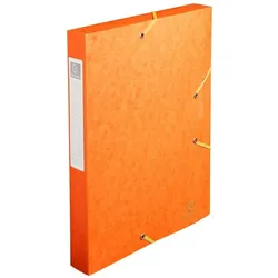 Exacompta, Mappe, Sammelbox (A4, 10x)