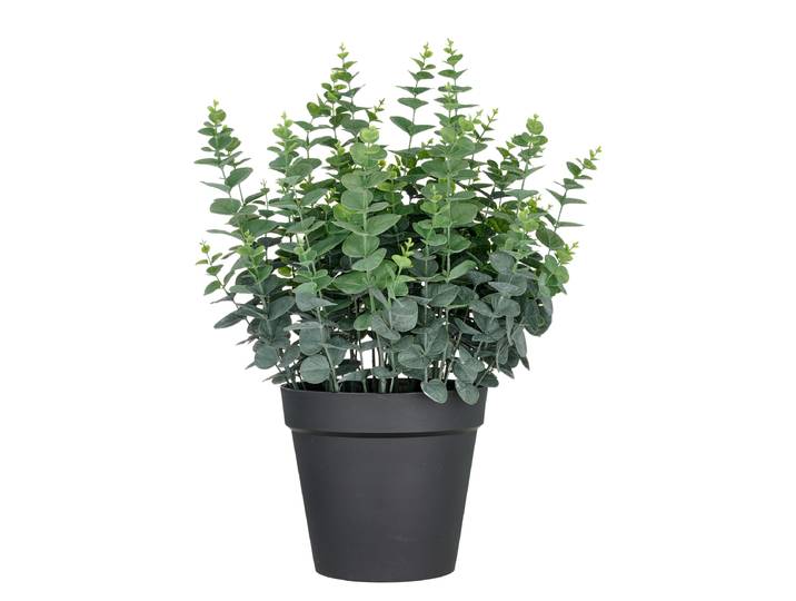 Eucalyptus artificiel 70cm