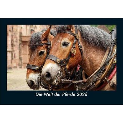 Die Welt der Pferde 2026 Fotokalender DIN A5