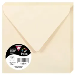 Pollen 200x Umschlag Pollen 120x120mm 120g - Elfenbein 12017C