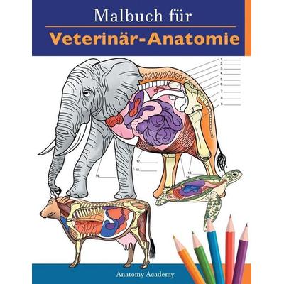 Malbuch für Veterinär-Anatomie, Taschenbuch von Anatomy Academy, Muze Publishing, 978-1-83818-867-2