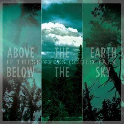 Above The Earth,Below The Sky - If These Trees Could Talk, CD