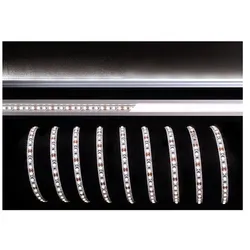 KapegoLED Flexibler LED Strip, 3528-120-12V-6500K, 500cm D-840167