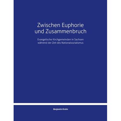 Zwischen Euphorie und Zusammenbruch, Taschenbuch von Benjamin Krohn, BoD – Books on Demand, 978-3-695-76122-7