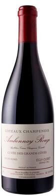 """Egly-Ouriet Ambonnay Coteaux Champenois Cuvee des Grands Cotes 2022 Red Wine - France"""