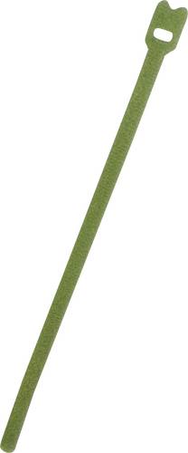 FASTECH Klettkabelbinder zum Bündeln Haft- und Flauschteil (L x B) 200mm x 7mm Grün 100St.