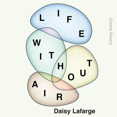 Life Without Air - Daisy Lafarge, Audio, 9781783786817