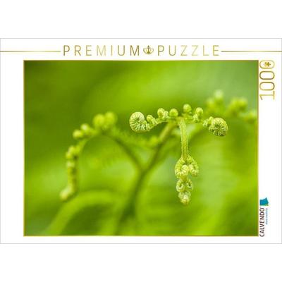 CALVENDO Puzzle Adlerfarn (Pteridium aquilinum) | 1000 Teile Lege-Größe 64x48cm Foto-Puzzle für glückliche Stunden, Sonstige von , Calvendo Puzzle